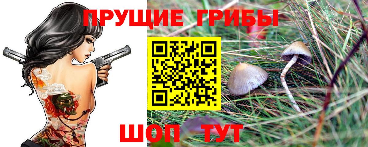 Псилоцибиновые грибы Psilocybine cubensis Челябинск