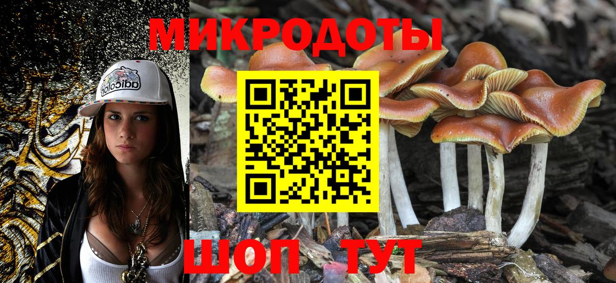 Псилоцибиновые грибы Cubensis  где продают наркотики  Челябинск  Вход с VPN  Псилоцибиновые грибы мицелий 